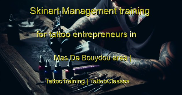 Skinart Management training for tattoo entrepreneurs in Mas De Bouydou area | TattooTraining | TattooClasses | SkinartTraining-France